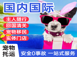 日照空运国际宠物托运 【国